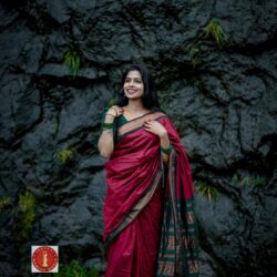 Thara Cotton Silk Saree
